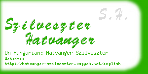 szilveszter hatvanger business card